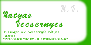 matyas vecsernyes business card
