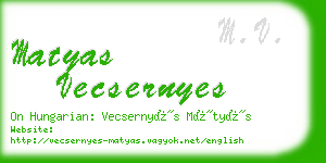 matyas vecsernyes business card